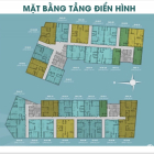 Căn hộ mãn xanh duy nhất tại SG