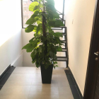 Cho Thuê Căn Hộ Mini Full Nội Thất