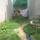 Bán Mảnh đất 120m2 đường Vườn Lài nối dài Giá 969 Triệu ,SHR,lh:0777-554-625