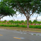 ĐẤT NỀN KHU CÔNG NGHIỆP VSIP 2