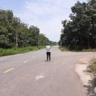 Đất Bình Dương giá rẻ, đường 8m, điện 3 pha, giá 398 đến 450 triệu/ 1000m2