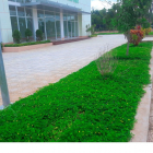 BÁN ĐẤT NỀN TRUNG TÂM TP ĐỒNG XOÀI DỰ ÁN SUNVIEW CENTRAL GIÁ SIÊU RẺ