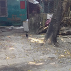 Bán đất 203m2, Nội Thành, Khu nhà ở Giảng Viên đại học Huế, Phường Tây Lộc.