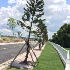 Đất mặt tiền Bình Mỹ - Củ Chi, gần chợ Hóc Môn, shr - xdtd