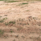 Đất Tân Phú Trung 1/QL22 cách Bv Xuyên Á 1km, thổ cư 100%, Sổ rồi