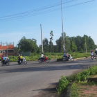 Gía đầu tư hạt dẻ đẻ ra tiền đầu tư sinh lợi