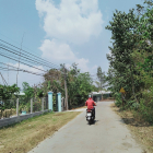 Dịch tả lợn làm gia đình thất thu, bán gấp 2000m2 đất nông nghiệp khác.