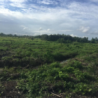 Đất mặt tiền Sông Lu gần sông Sài Gòn xã Trung An Củ Chi