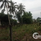 Bán 3 lô đất liền kề cách Nguyễn Công Phương nối dài chưa đến 500m.