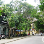 Cho thuê cửa hàng phố Nguyễn Văn Ngọc kinh doanh tốt , thích hợp làm văn phòng