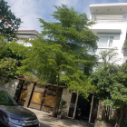 Cho thuê nhà 4 tầng có sân thượng đường Man Thiện, Hải Châu, full NT