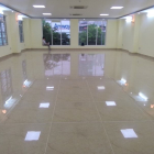 Vp cho thuê Vũ Trọng Phung, Thanh Xuân 230 nghìn/m2/th, 200- 2000m2