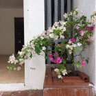 cho thuê nhà tại Quan nhân làm trà sữa, cafe , hàng ăn ....26tr/th