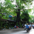 Cho thuê nhà Phố Hoàng Hoa Thám làm CHDV, nhà nghỉ, spa, ở kết hợp kinh doanh on