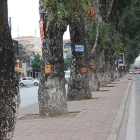 Cho thuê nhà tại Đường Láng thích hợp làm văn phòng ...