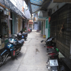 CHO THUÊ GẤP Nc hẻm 4m, 3x16m, 2 L, CMTT, P13Q10, giá 17tr/th