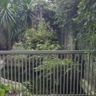 Chính chủ cho thuê căn nhà tại tỉnh Đồng Nai, giá tốt.