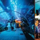 Cơ hội sở hữu căn hộ dát vàng 24k, đạt chuẩn 7*  đầu tiên tại Việt Nam