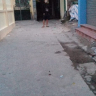 Nhà Cấp 4 Kinh Doanh Duy Nhất Dưới 3 tỷ tại TT Trâu Quỳ - Gia Lâm