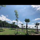 Cần Bán gấp lô đất ngay trung tâm thương mại bến cát