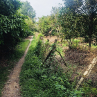 Bán đất vườn view Sông Sài Gòn, đường 464, xã Trung An. DT: 3900m2, Giá 2.6tr/m2