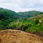 bán đất làm resort khu sinh thái giá chỉ 18.000vnd/m LH 0788.558.552