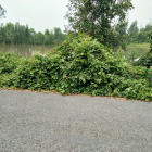 cần bán đất đi định cư đường tam tân xã thái mỹ diện tích 608m2 giá 1.3 tỷ