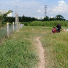 Chính Chủ. Đất Nông Nghiệp Có Đường Vào Cần Bán Gấp Giá 4.5Tr/m2