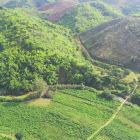 trang trại lâm nguyên lâm đồng gia 600tr/4000m đảm bảo lợi nhuân hàng năm