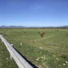 Bán Lô Đất Cuối Cùng QL1A Thị Trấn Phước Dân Ninh Phước Ninh Thuận 4000 m2