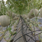 ĐẦU TƯ AN NHÀN, NGHỈ DƯỠNG 4 MÙA TẠI– BÌNH CHÂU GIÁ CHỈ 1,68TR/M2. LH:0935833076