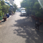 Chính chủ đang cần tiền bán gấp căn nhà hẻm nhựa 12m Tân Hòa Đông