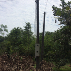 Bán 2.3ha đất vườn điều bằng như sân banh thuộc Phước Sơn