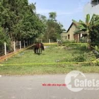 Chỉ Còn 1 Lô MT Cây Gỏ (Đất cây lâu năm) Diện Tích 283m2 Mà Chỉ 1Ttỷ 500 triệu