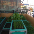 Nhà Hẻm xe hơi Hoàng Hoa Thám, Bình Thạnh, 80m2, 4 tầng