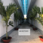 Bán gấp dãy nhà trọ mới xây nằm trên Quốc Lộ 1A cách chợ Bình chánh 800m