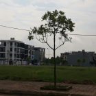 Mở bán 200 lô đất đẹp nhất Xuân Hòa Phúc Yên, giá từ 10tr/m sổ đỏ trao tay