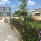 Đất Bình Chánh gần chợ Vĩnh Lộc giá rẻ hợp đầu tư