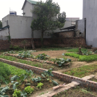 bán đất mỹ hào  cho anh chị em công nhân giá re có hỗ trợ trả góp