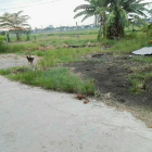 Cc mặt tiền bê tông Tam Xuân 1 cách trục QL 1A 150m