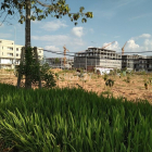 Về Quảng, nhà tôi bán rẻ miếng đất trung tâm chợ nông sản BD, MT ĐẸP kinh doanh