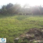 Bán Đất Giá Rẻ Chỉ 215tr Tại Triệu Phong, Quảng Trị