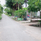 Cần tiền gấp bán đất trồng cây lâu năm Quy Đức, Bình Chánh, có diện tích 319,2m2