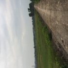 Đất trồng cây lâu năm 2 mặt tiền sông cầu Bến Nẩy Tỉnh Lộ 15