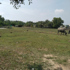 Có hàng mới ra lò, 5841m2 đất tại xã Phú Hữu