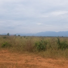 Chính chủ cần bán lô đất 1044m2 thuộc xã thiện nghiệp. Liên hệ xem thực tế