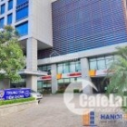 Cho thuê văn phòng Icon 4 Đê La Thành, tầng 5 diện tích 64m2 đến 216m2