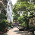 Phân lô oto tránh - Liễu Giai 36m2- 5 tầng - oto vào nhà giá 6.6 tỷ.