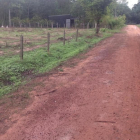 ️️Nguồn hot cuối năm, chỉ 1 lô duy nhất, đất dầu tiếng 377tr/1000m2-LH:0946413