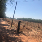 Kẹt tiền kinh doanh hoa tết bán gấp lô đất dầu tiếng 450tr/1000m2, sổ hồng riêng